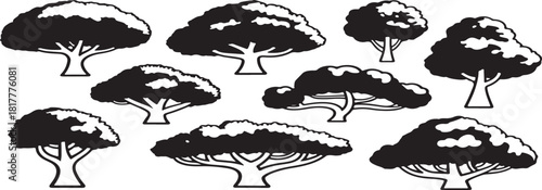 Vector set of eight savanna acacia tree silhouettes depicting African landscape flora isolated on a black background