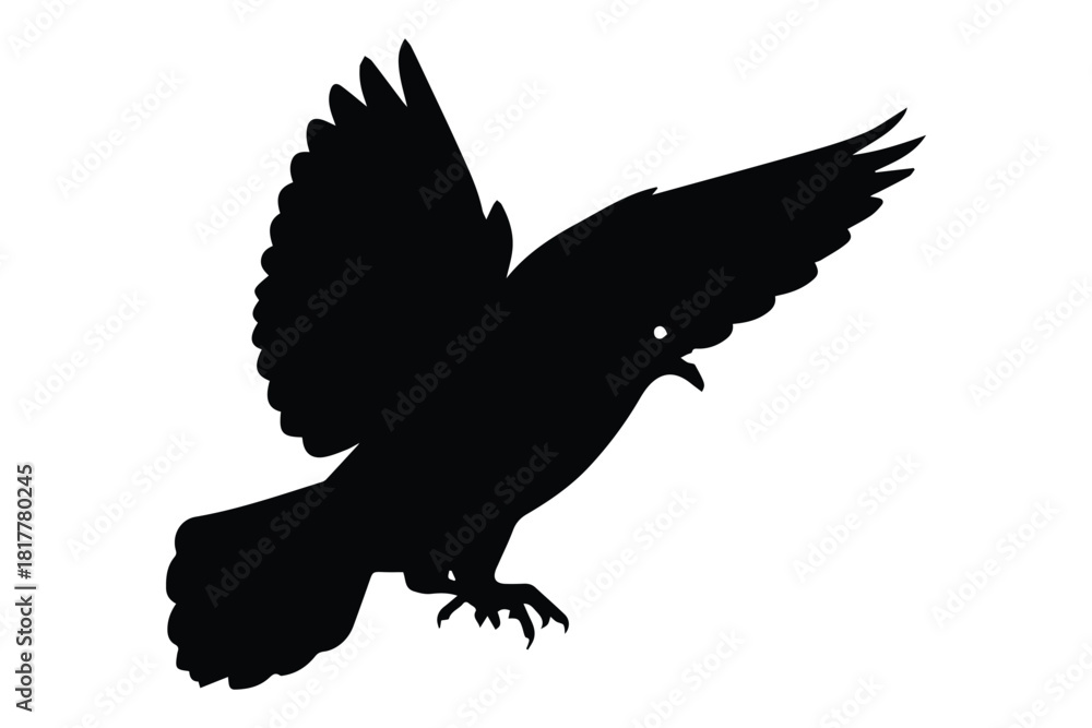 Naklejka premium Black silhouette of flying bird with wings raised upward