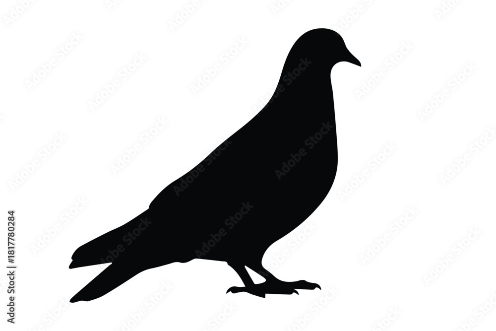 Fototapeta premium Side profile black silhouette of standing pigeon bird isolated