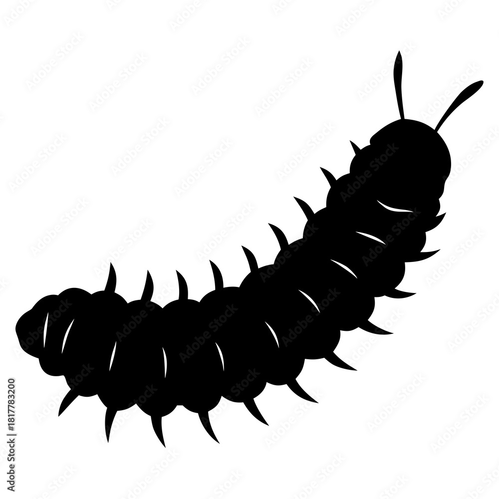Obraz premium caterpillar on white background macro
