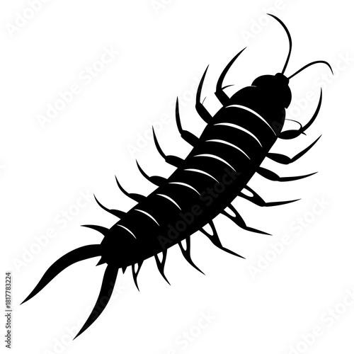 vector illustration of a black scorpion