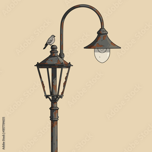 Why This Tiny Bird Chose the Rustiest Lamp in Town