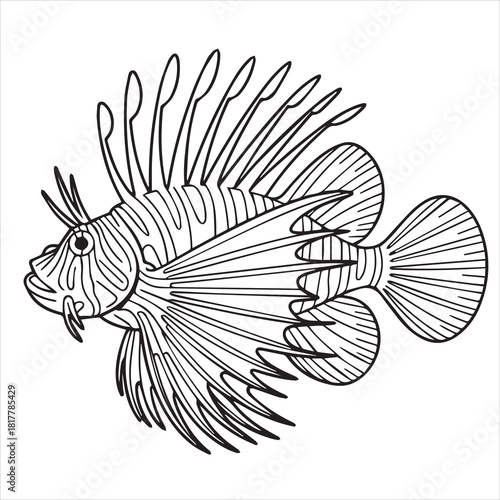 vector illustration of a lion fish coloring page