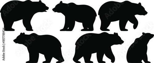 Vector silhouette collection of wild bears in various poses, black bear illustrations isolated on white background for wildlife design, animal studies, and nature-themed graphics