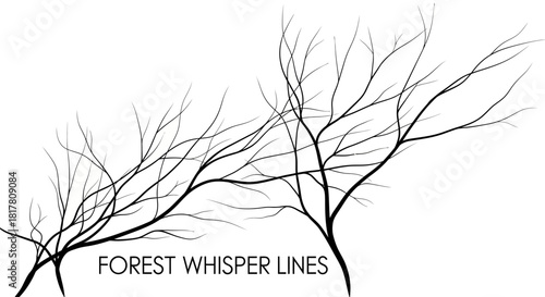 Silhouetted branches against a stark white background, evoking a sense of starkness, minimalism