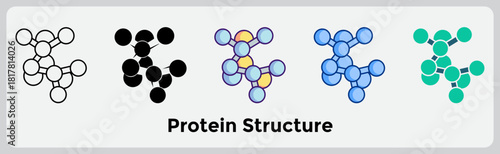 Protein Structure