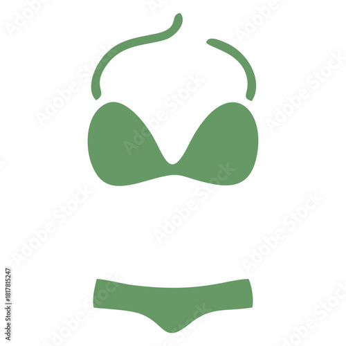 Bikini and Panties icon