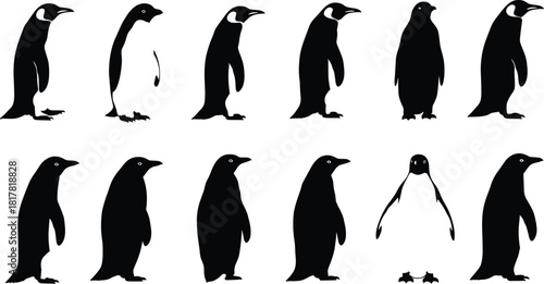 Penguin silhouettes collection, detailed and abstract bird vector set, wildlife illustration artwork, Antarctic animal design, black and white comparison, educational and artistic reference