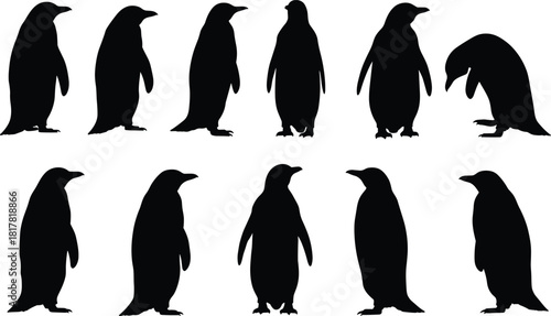 Penguin silhouettes collection, twelve bird poses vector, wildlife illustration artwork, Antarctic animal design, black and white artwork, nature concept, educational and artistic reference