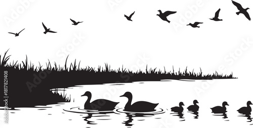 Black silhouette ducks swimming and birds flying over water and grass
