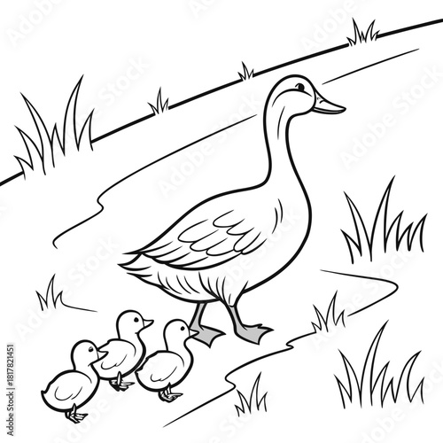 Black and white line art illustration of a mother duck walking with her three ducklings in a grassy environment, isolated on