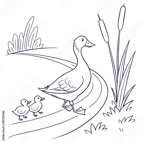 Outline illustration of a mother duck and her two ducklings strolling on a path, with reeds and natural foliage, isolated on