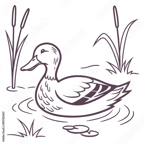 Simple line art illustration of a duck gracefully swimming in a pond, surrounded by reeds and lily pads, capturing a peaceful wetland scene