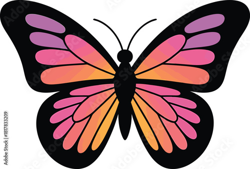 Colorful Butterfly with Gradient Wings on White Background