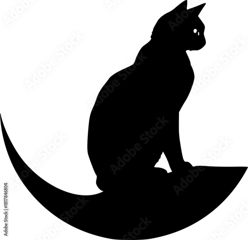 Moon and cat silhouette representing loneliness, peace, and night tranquility
