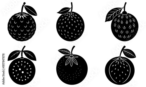 Elegant monochrome citrus fruit assortment, a clean and modern graphic element, perfect for branding, packaging, or adding a touch of natural freshness