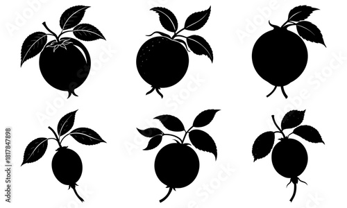 Crisp fruit silhouette collection, perfect for organic food branding and modern culinary designs, evokes healthy eating and natural freshness