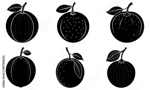 Fresh citrus fruit collection, diverse oranges, perfect for healthy eating promotions and vibrant designs, evokes zest and natural goodness from vector origins