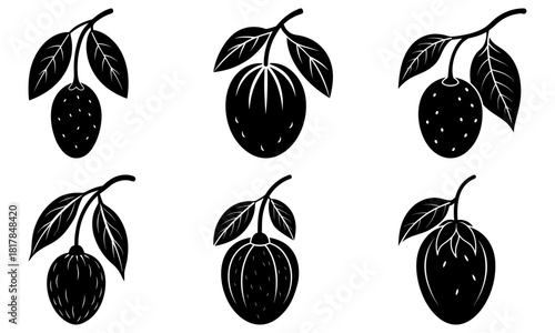Elegant botanical illustration of passion fruit, artistic, hand-drawn style for invitations, branding, packaging, and natural food concepts, vector origin