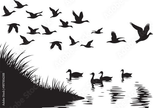 Flock of ducks flying over water with grassy bank migration