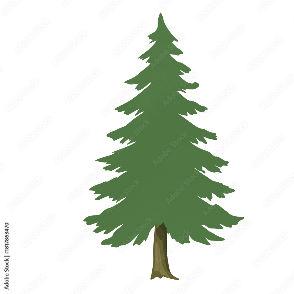Obraz premium green christmas tree