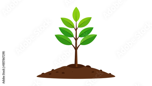 Illustration of a young tree growing in soil, isolated on white.