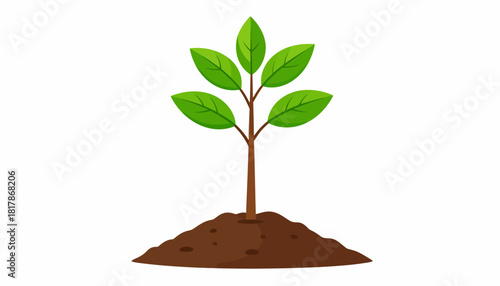 Small tree sapling growing in a pile of dirt.