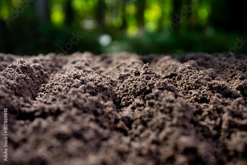 Фотография Fertile farm soil background