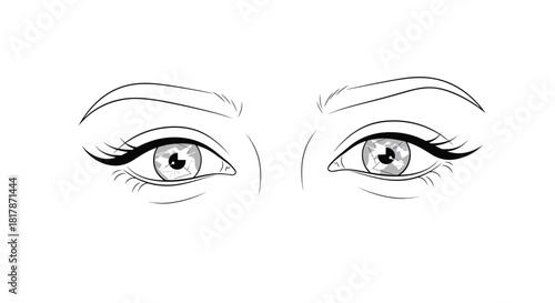 Elegant line art illustration of a pair of female eyes with detailed pupils, irises, long eyelashes, and winged eyeliner.