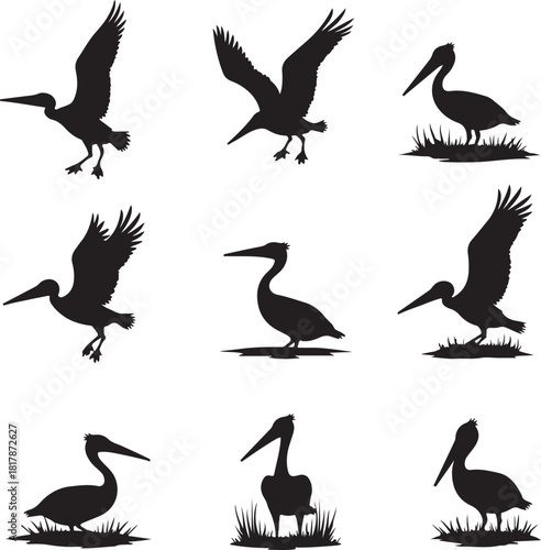 Nine black pelican silhouettes in various poses bird