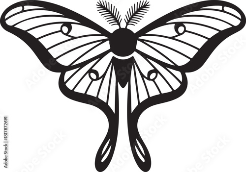 Stylized luna moth illustration with intricate wing patterns
