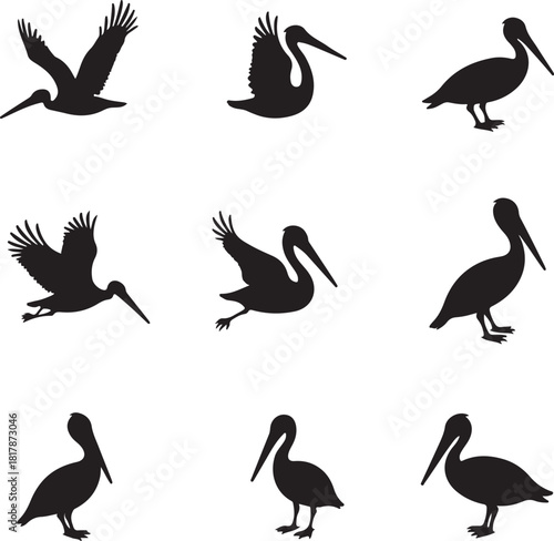 Nine black pelican silhouettes in various poses bird