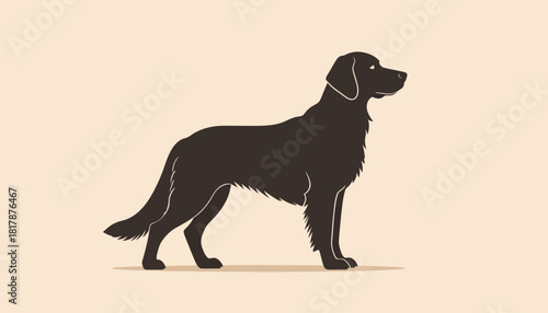 Illustration of a black Flat-Coated Retriever dog standing in profile on a beige background.