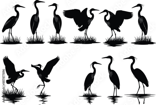 Heron and crane bird silhouettes standing, flying, wading in water, wildlife wetland illustration, nature scene vector design for decoration