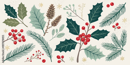 Vector  christmas  illustration of christmas foliage with pine cones holly and berries on a cream background