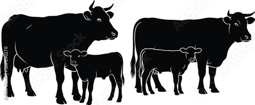 Black silhouettes of a mother cow and her small calf standing together as livestock animals