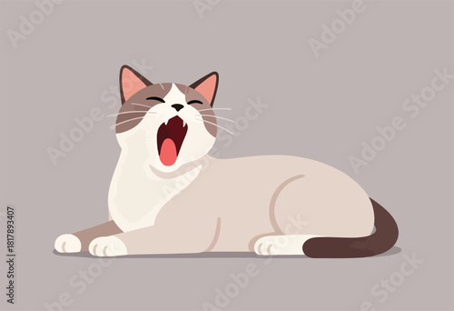 A relaxed cat, yawning wide with closed eyes. It has a cream and brown color scheme on a grey background