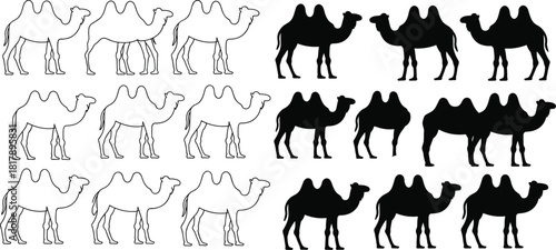 Comprehensive set of desert camel vector silhouettes and outlines, featuring dromedary and Bactrian species for travel and Middle East concepts.