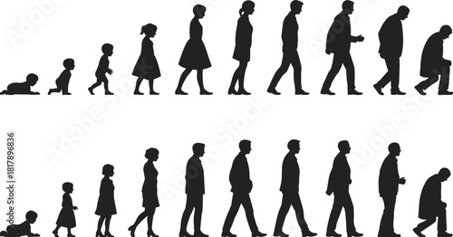 Vector silhouettes depicting the entire human life cycle from infancy to old age, symbolizing growth, time passing, and human development stages.