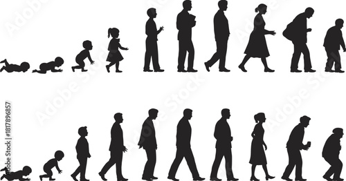 Vector silhouettes depicting the stages of human life from crawling baby to standing elderly person, symbolizing growth, aging, and lifespan.