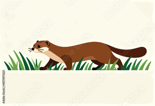 A stylized illustration features a brown weasel walking through green grass on a textured cream-colored background