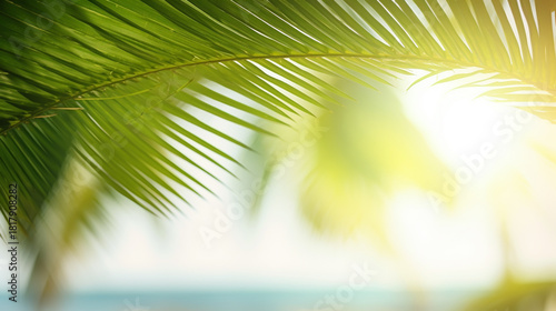 Fototapeta Naklejka Na Ścianę i Meble -  Blur beautiful nature green palm leaf on tropical beach with bokeh sun light wave abstract background.