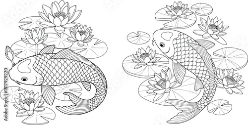 Two detailed outline illustrations of koi fish swimming gracefully among water lilies and pads