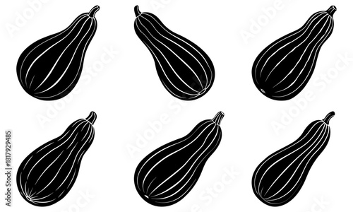Harvest bounty fresh squash illustration with elegant lines, perfect for farm-to-table promotions and seasonal designs, a vegetable garden classic, originally vector