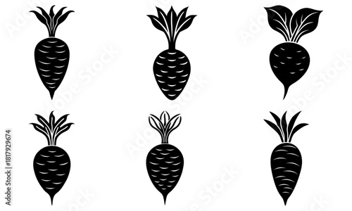 Stylish beet root art collection, fresh organic vegetable icons, modern food design elements, healthy lifestyle graphics, culinary symbol set, minimalist style