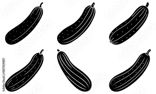 Fresh zucchini harvest, an organic vegetable bounty for healthy eating concepts, culinary designs, and farm-to-table lifestyle promotions