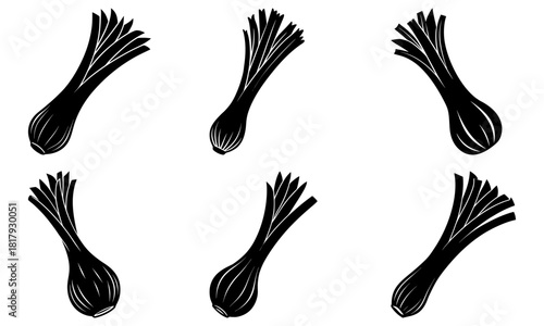 Fresh scallion stalks create a stunning culinary design, a natural, healthy choice for your next recipe, originally a scalable graphic for versatility