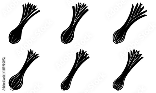 Fresh scallions illustration for healthy eating recipes and culinary projects, minimalist food design element, simple vector vegetable for natural lifestyle blogs