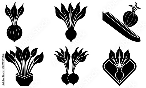 Fresh beets and onion, farm fresh produce for healthy recipes and vibrant dishes, design elements, culinary creations and wholesome eating