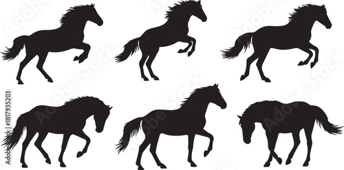 Set of silhouette of horses. Isolated black silhouette of galloping, jumping running, trotting, rearing horse on white background. Side view.